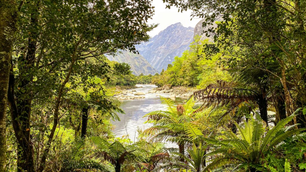 Milford Track Nieuw-Zeeland